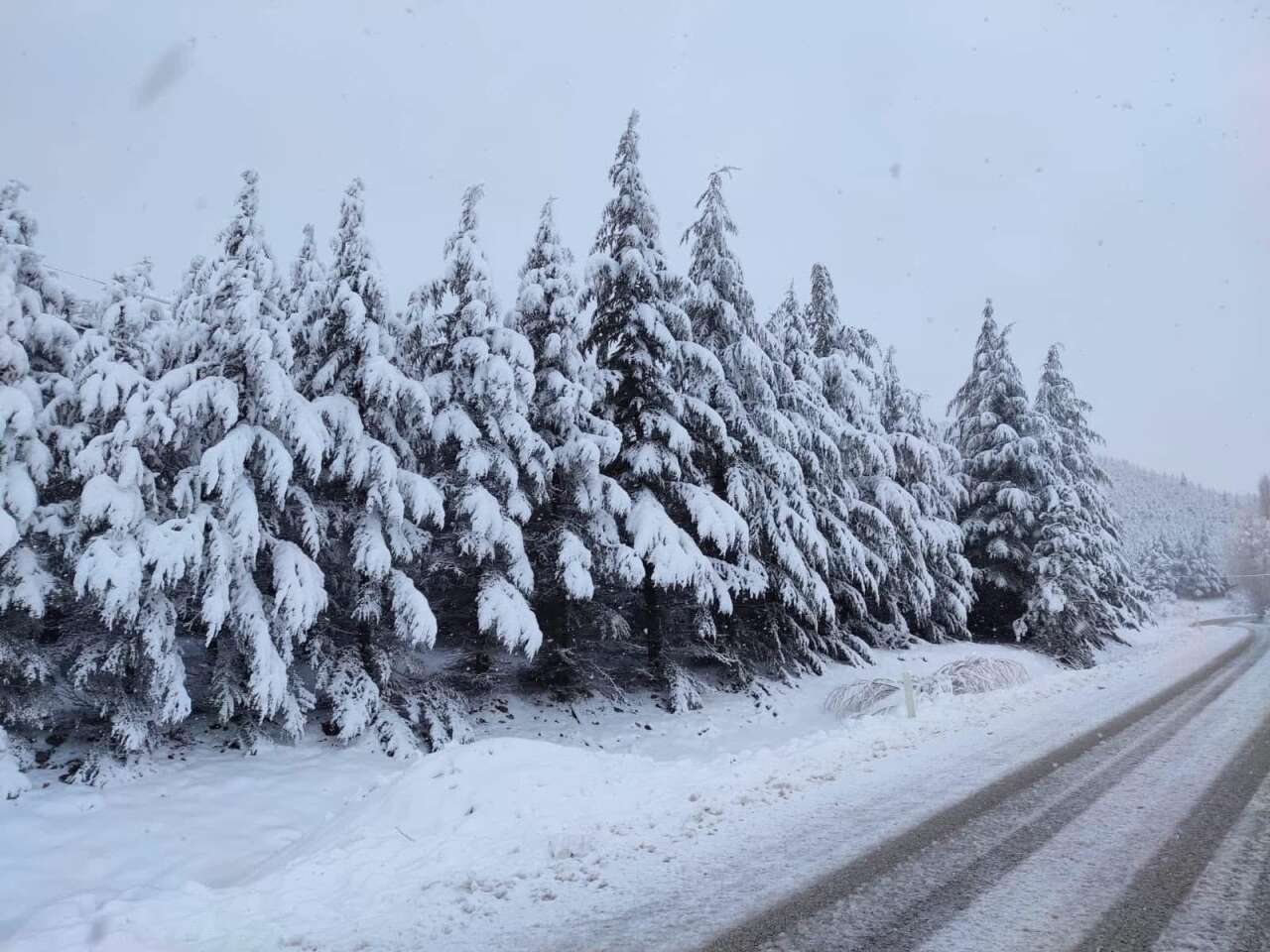 Konya’yı beyaza bürüyen kar gitti, geride bu manzaralar kaldı 6